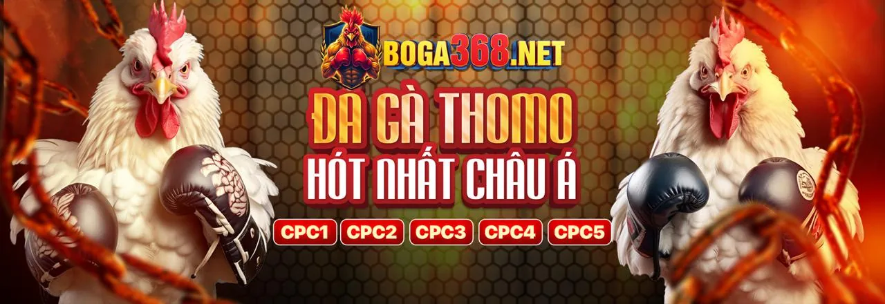 Hình ảnh banner đăng nhập Waybet link mới