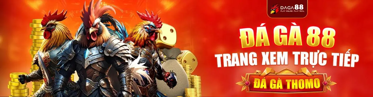 Tổng quan về Waybet link mới, nền tảng cá cược hàng đầu