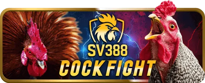 Bảo mật và trách nhiệm cá cược Waybet